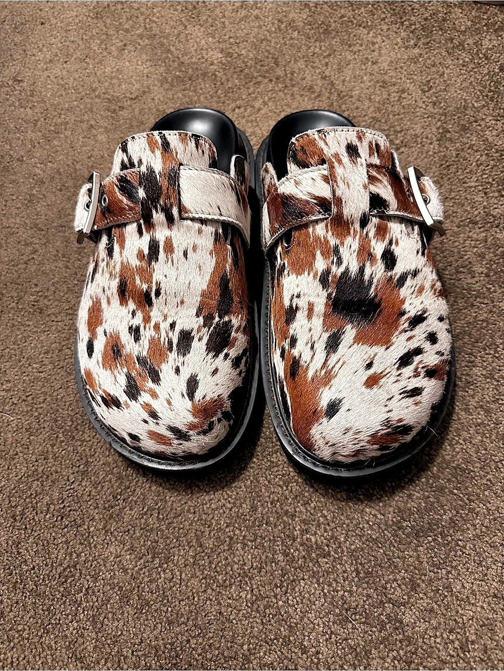 Shiloh cowprint clog mules